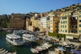 Camogli Harbor