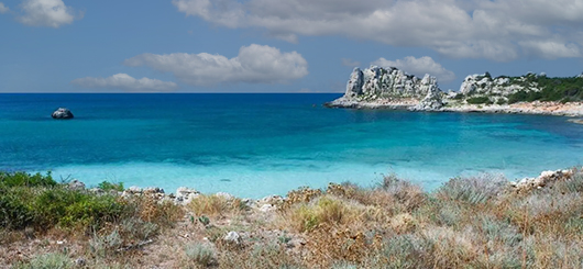 The island of Pianosa