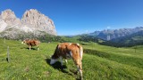 View of the Trentino Dolomites