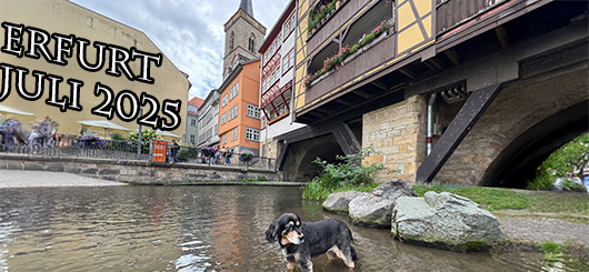 Ein Bad unter der Krämerbrücke in Erfurt