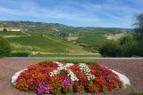 View of the Barolo wine region.